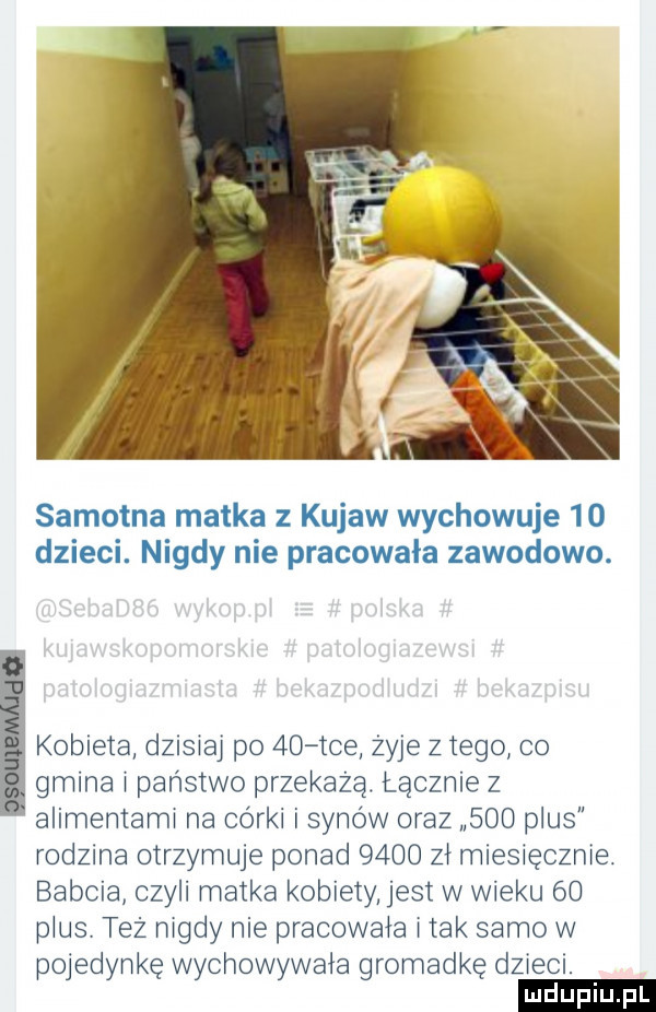 samotna matka z kujaw wychowuje    dzieci nigdy nie pracowała zawodowo. kobieta dzisiaj po    tee żyje złego co gmina i państwo przekażą. łącznie z alimentami na córki i synów oraz     plus rodzina otrzymuje ponad      zł miesięcznie. babcia czyli matka kobiety jest w wieku    plus. tez nigdy nie pracowała imak samo w pojedynkę wychowywała gromadkę dzieci. ludu iu. l