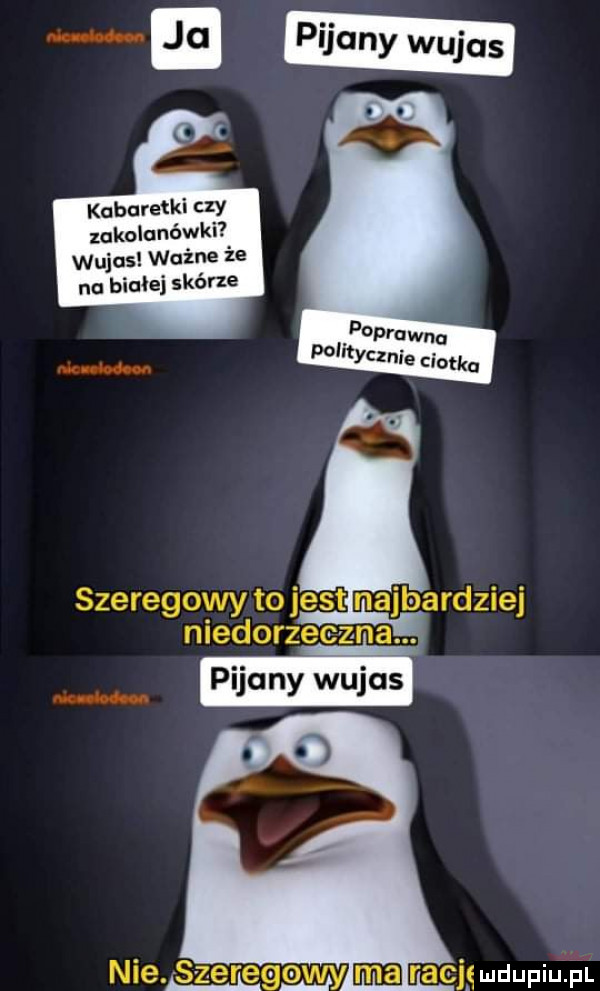 kabaretki czy zakolunéwki wujas ważne że na białej skórze