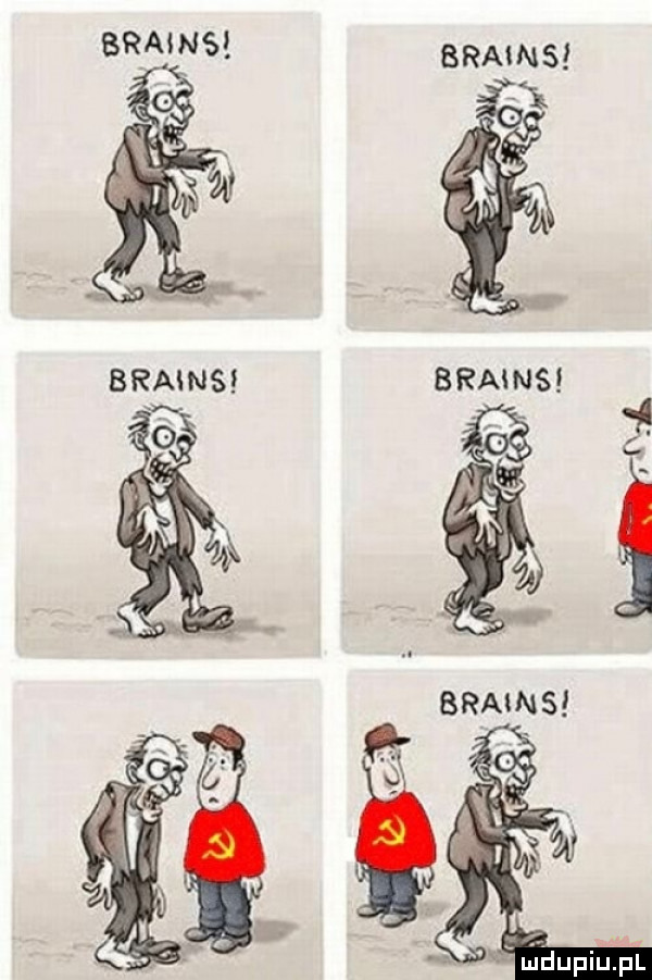 brains brawsł brains