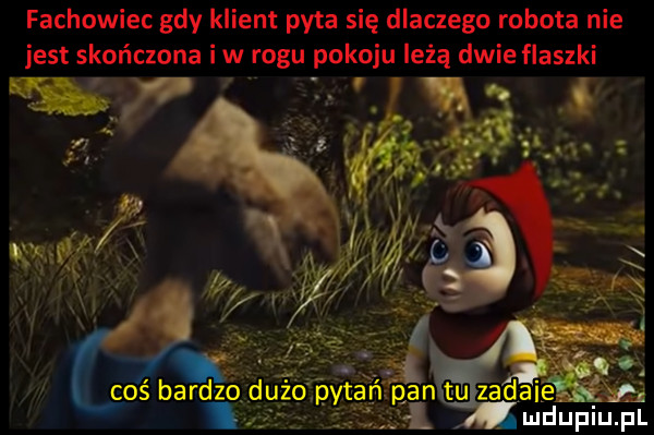 fachowiec gdy klient pyta się dlaczego robota nie jest skończona iw rogu pokoju leżą dwie flaszki