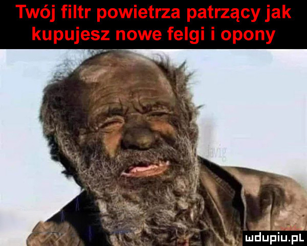 ludupiu. pl
