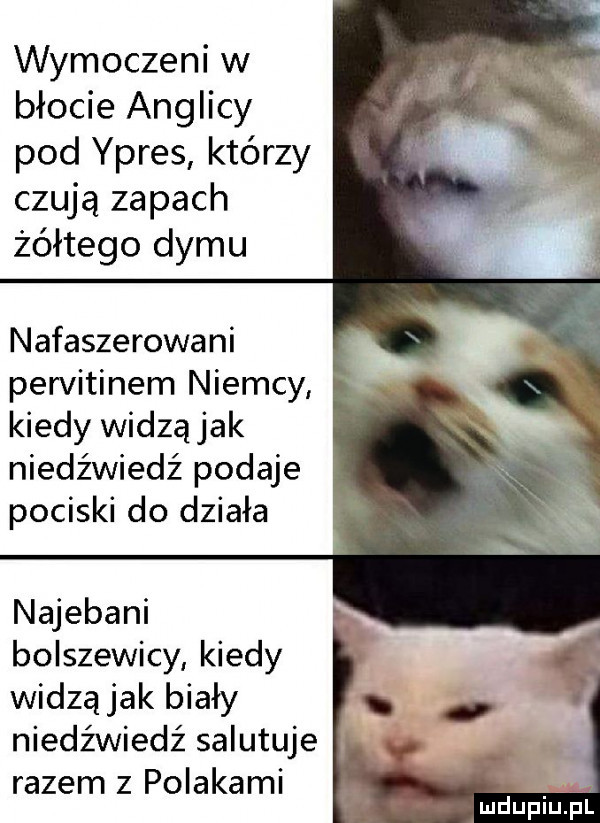 wymoczeni w błocie anglicy pod ypres którzy czują zapach żółtego dymu nafaszerowani pervitinem niemcy kiedy widząjak niedźwiedź podaje pociski do działa najebani bolszewicy kiedy widząjak biały niedźwiedź salutuje razem z polakami