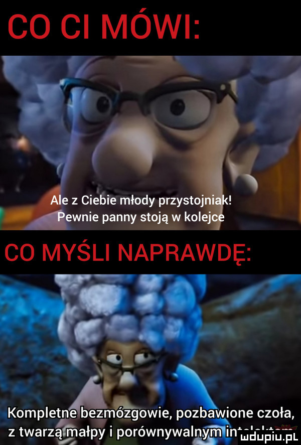 a a a z ciebie mlody przysto wsie panny wml co myśli naprawdę x kompletne bezmózgowie pozbawione czoła. v. z twarząfnjałpy porownywalnym in udupiu pl