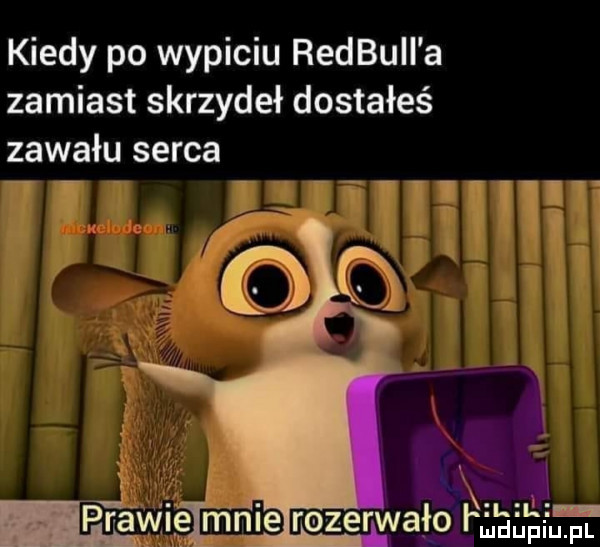 kiedy po wypiciu redbuii a zamiast skrzydeł dostałeś zawału serca