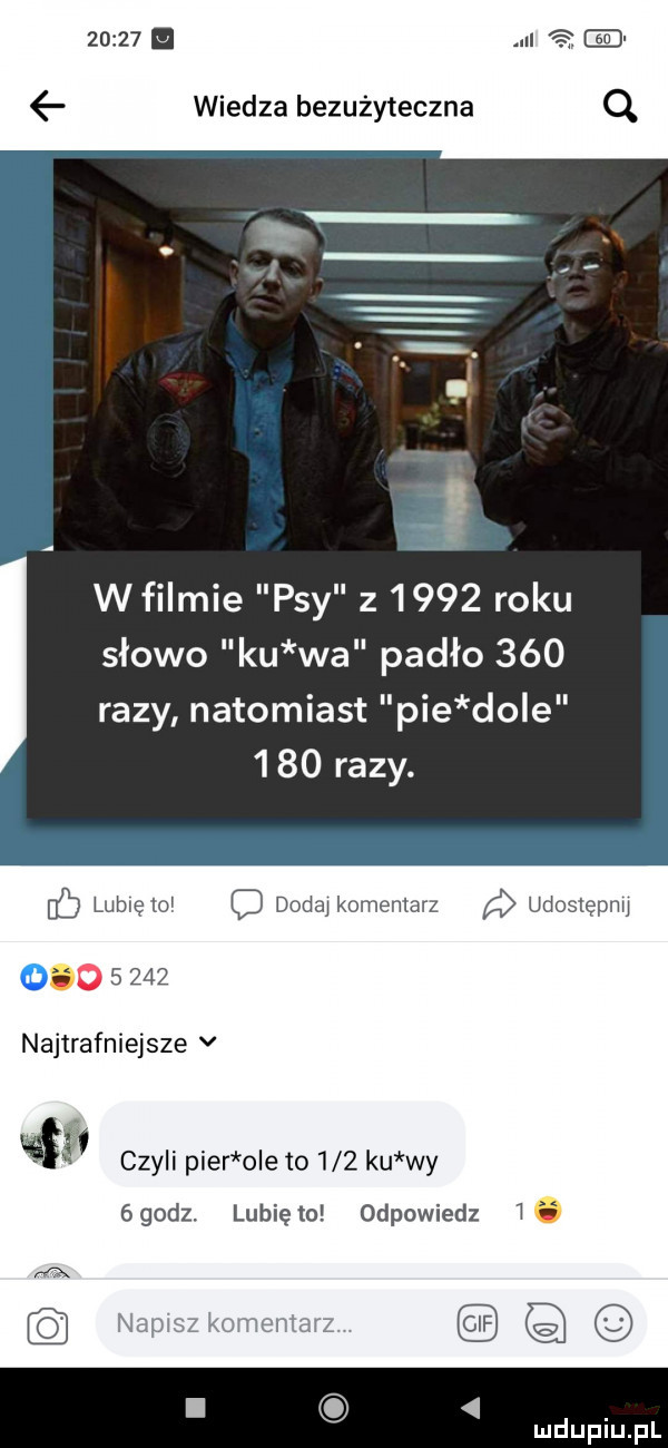 wiedza bezużyteczna wfilmie psy z      roku słowo ku wa padło     razy natomiast pie dole     razy. i c lublęlo dodaj komentarz udoslepnu o       najtrafniejsze v   czyli puer ole to     ku wy ggodz. lunięto odpowiedz. abakankami
