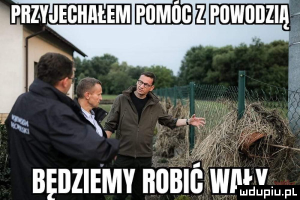 będziemy mewa