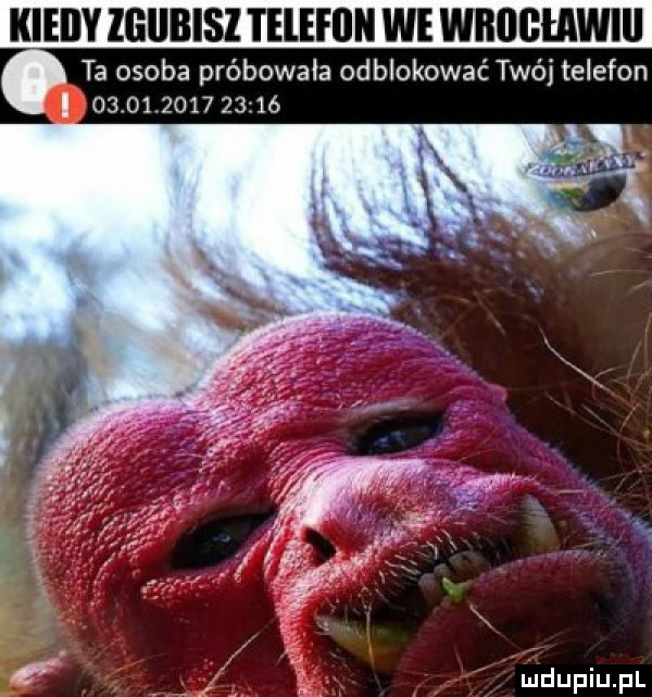 kiedy igiibisi telefilh we wrocławiu ta osoba próbowała odblokować twój telefon                  i