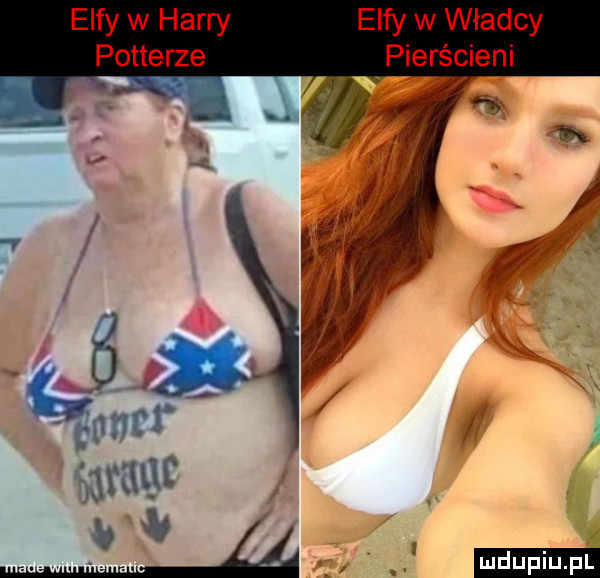 elfy w harry potterze elfy w władcy pierścieni