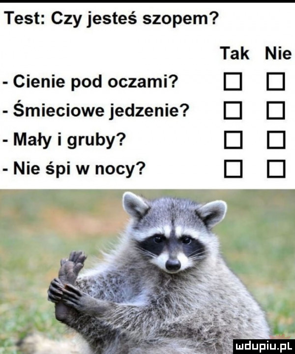 test czy jesteś szopem tak nie cienie pod oczami el śmieciowe jedzenie mały i gruby el dude nie śpi w nocy