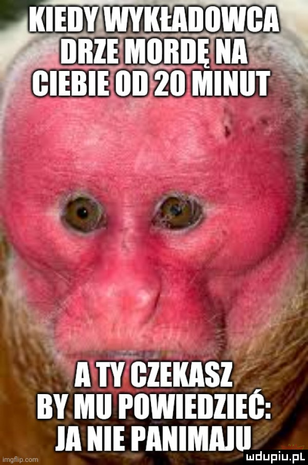 kieiiy wykiaiiowga iiiee miiiiiie ica bimbie iii    minut atv czilmsz nv mu rnwunzuc ia mmmmuu lud upiu. pl