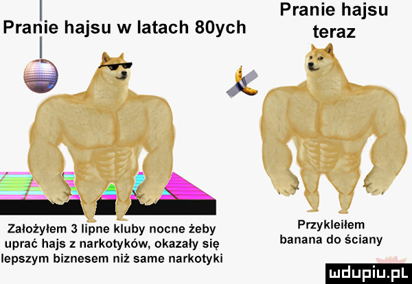 pranie hajsu pranlie hajsu w latach   ych teraz. ł  . ł x   i a założyłem   lipne kluby nocne żeby anklei ęr  uprać hajs z narkotyków okazały się banana do      iepszym biznesem niż same narkotyki