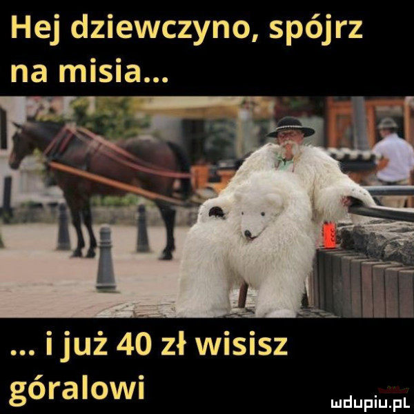 hej dziewczyno spójrz na misia. góralowi