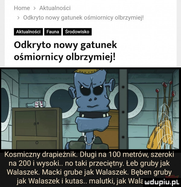 mm mmm odkryto nowy gatunek ośmiornicy olbrzymiej kosmiczny drapieznik. długi na     metrów szeroki na     i wysoki. no taki przeciętny. leb grubyjak walaszek. macki grube jak walaszek. bęben gruby jak walaszek i kutas. malutki ak wale