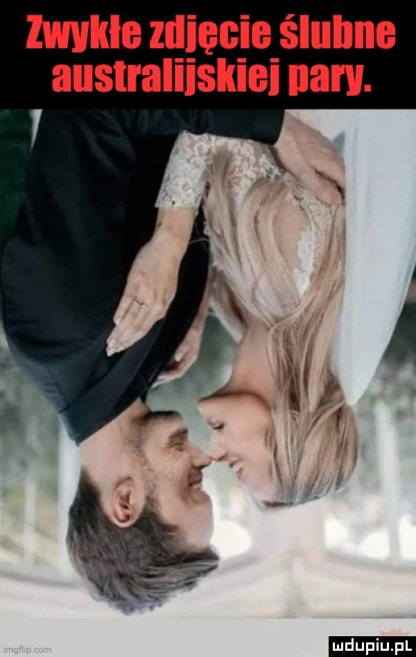 zwykle zgięcie ślubne australiiskiei neru