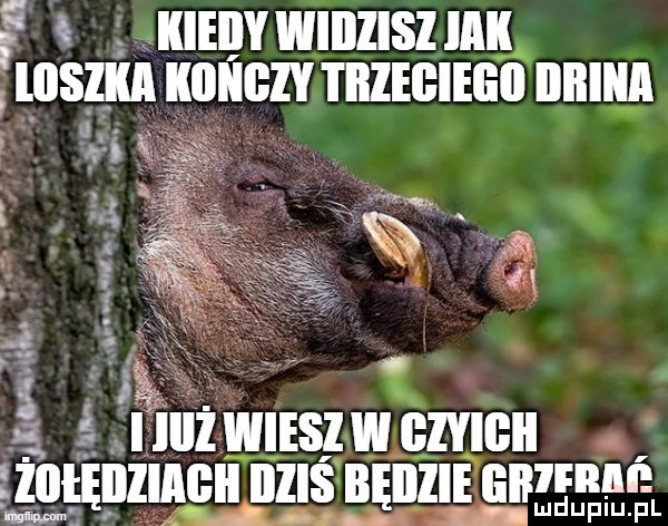 f iiieiiy wiiiiisi iiiii malin le i iiieiiieiiii iiiiiiiji if. xmm r q ś i. iiiiiwiesiwiiiyibii. gai lliizśe hagi illiś beilżieiliiłtfrm ludupiu pl