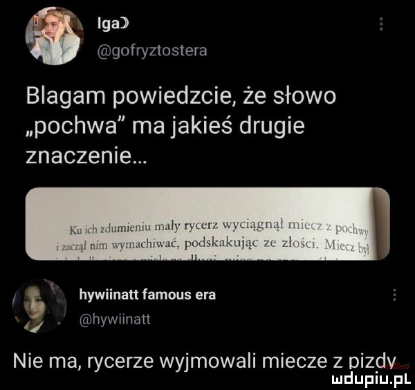 z iga gofryztostera blagam powiedzcie że słowo pochwa ma jakieś drugie znaczenie. hywiinatł famous era a. hywmatt nie ma rycerze wyjmowali miecze z dizdv