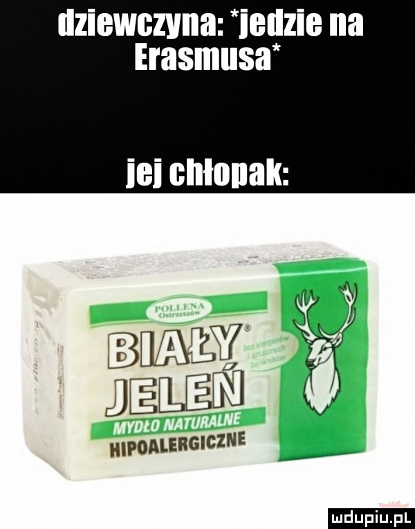 dziewczyna iellzie na erasmusa