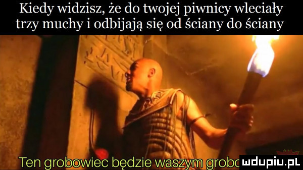 kiedy widzisz że do twojej piwnicy wleciały trzy muchy i odbijają się od ściany do ściany ludupiupl