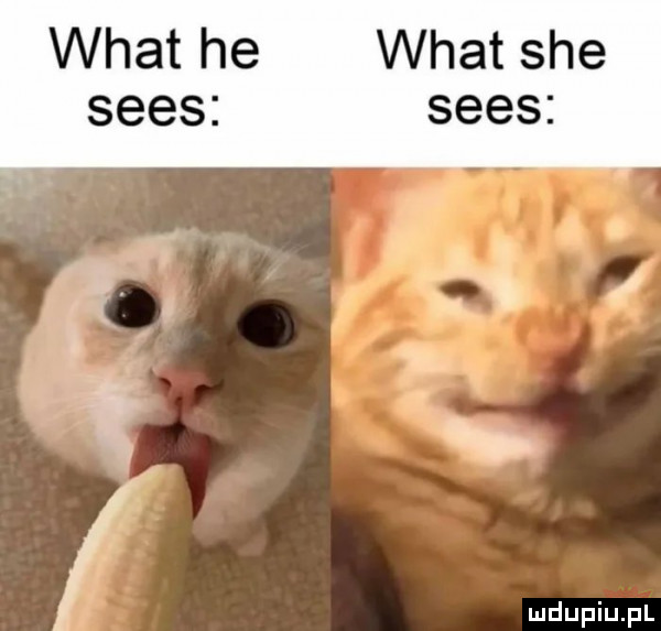 wiat he wiat sie seks seks