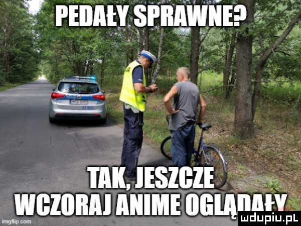 pedały. sprawne      . m ieszeze gcznnnlnulrninam iiiw