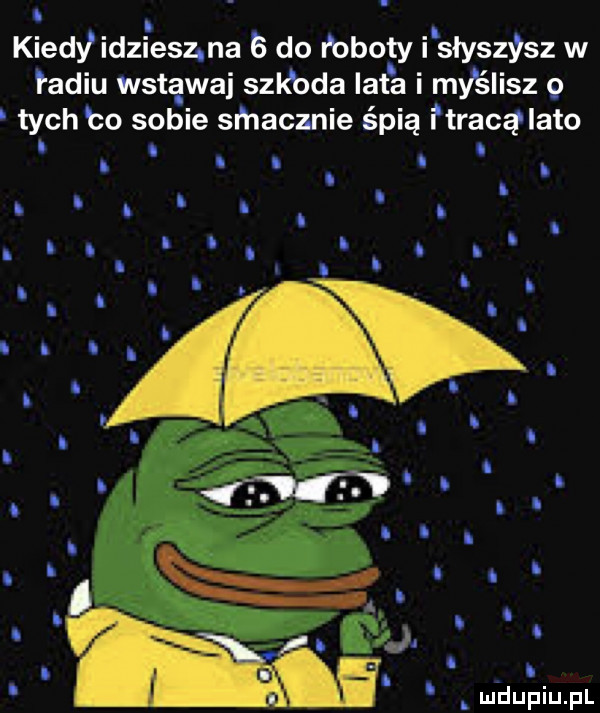 i kiedy idz elz na b do i ożoty i słyszysz w ładiu wstawaj szkoda lata i mvśiisz   tych b  sobie srhacznie spią i traca lato