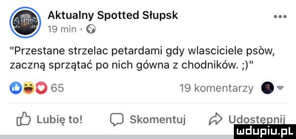 aktualny spotted slupsk    mm o przestane strzelac pulardami gdy wlasciciele psów zaczną sprzątać po nich gówna z chodników.           komentarzy. ó lubię to o skomentuj ﬂ udcsteeni
