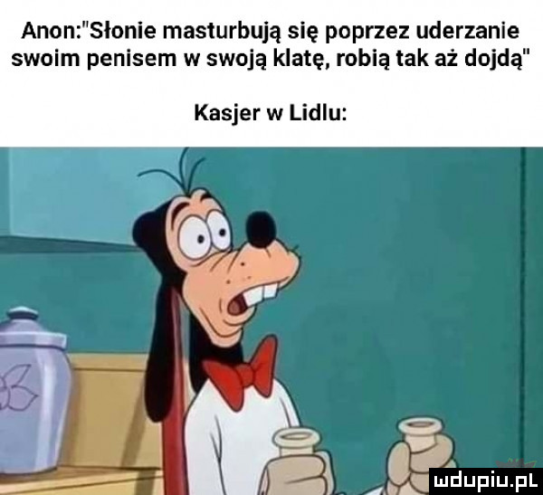 agon słonie masturbuje się poprzez uderzanie swoim penisem w swoją klate robią tak aż dojdą kasjer w lidlu r o ml ludupiu. pl