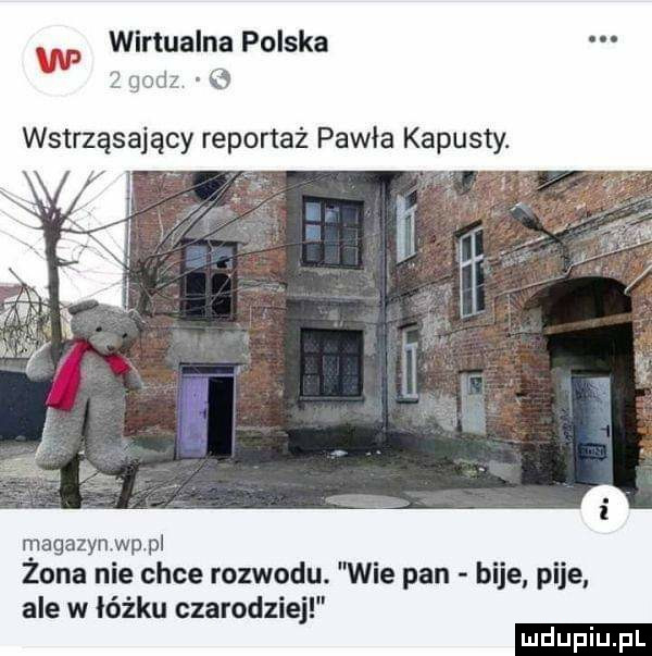 wirtualna polska   gm a.   wstrząsający reportaż pawia kapusty rpagazynwppl zona nie chce rozwodu. wie pan bije. pije ale w łóżku czarodziej