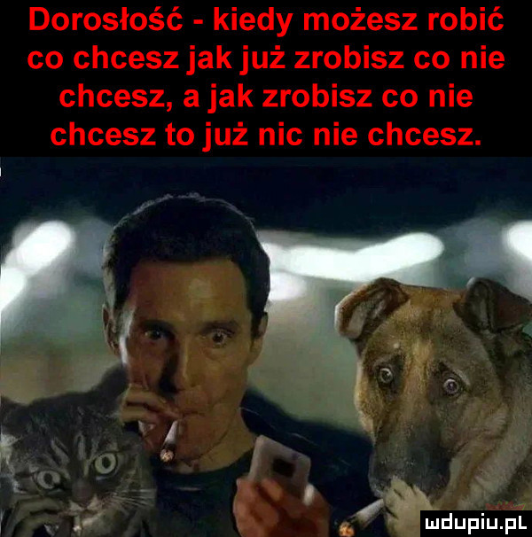 dorosłość kiedy możesz robić co chcesz jak już zrobisz co nie chcesz a jak zrobisz co nie chcesz to już nic nie chcesz. mdupiupl