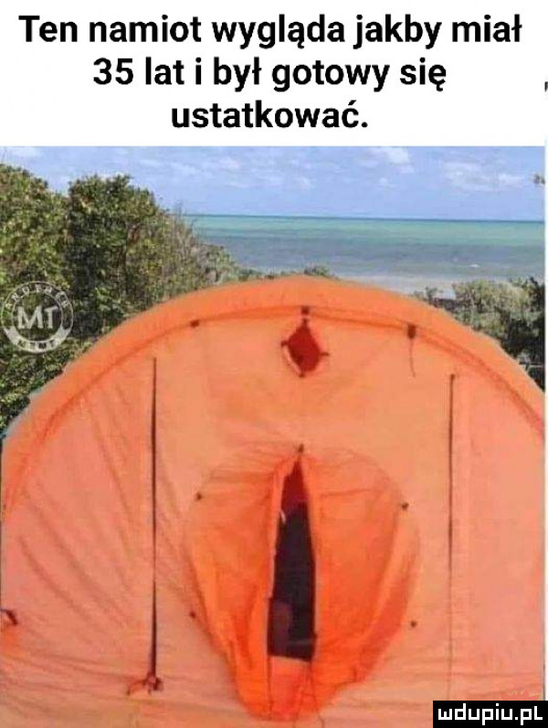 ten namiot wygląda jakby miał    lat i był gotowy się ustatkować. rq s