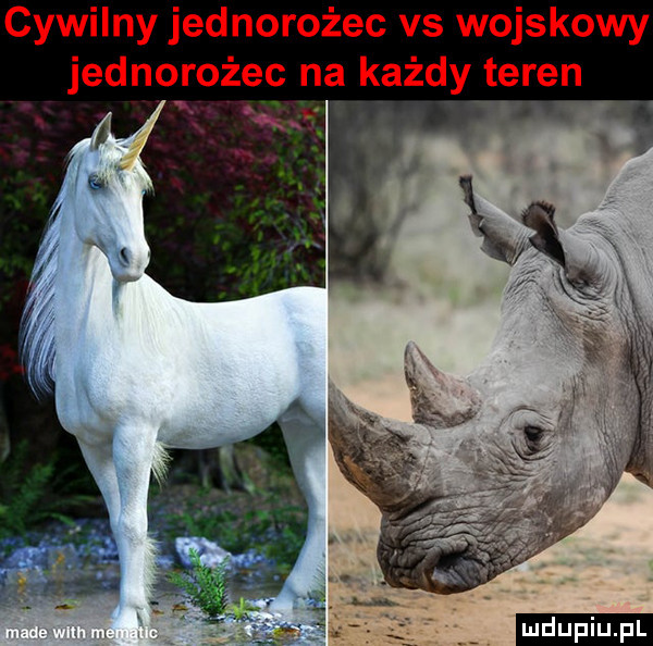 cywilny jednorożec vs wojskowy