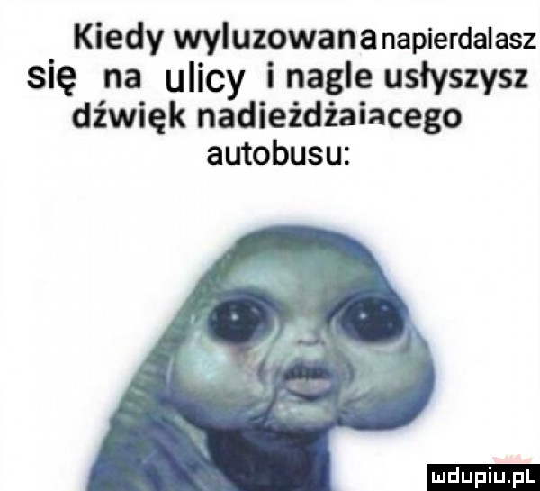 kiedy wyluzowananapierdalasz się na ulicy inagle usłyszysz dźwięk nadieżdżaiacego autobusu ludu iu. l