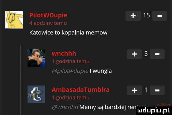 pilotwdupie      godzmv emu katowice to kopalnia memow wnchhh     gad ma emu iwungla ambasadatumblra     godzma emu memy są bardziej renehl piuipl
