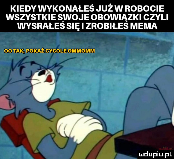 kiedy wykonałeś już w robocie wszystkie swoje obowiązki czyli wysrałes się i zrobiles mema oo tak pokaż cycowe ommomm w