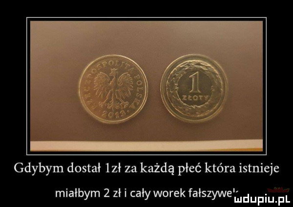 gdybym dostał    za każdą płeć która istnieje miałbym   zł i cały worek fałszywe ﬁldupqul