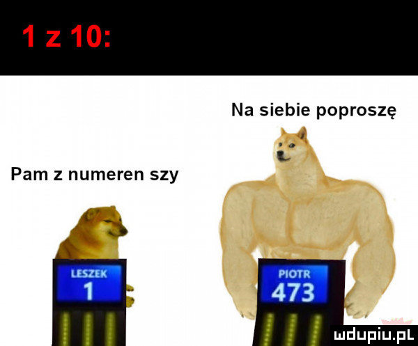 na siebie poproszę i i. pam z numeren say