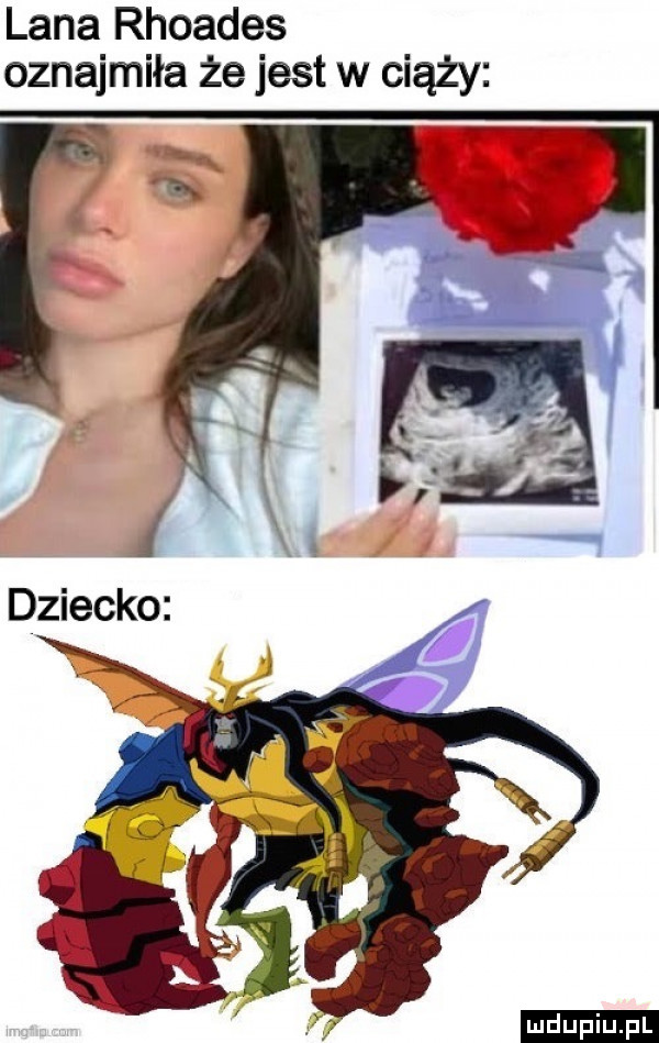 lana rhoades oznajmiła że jest w ciąży dziecko ludu iu. l