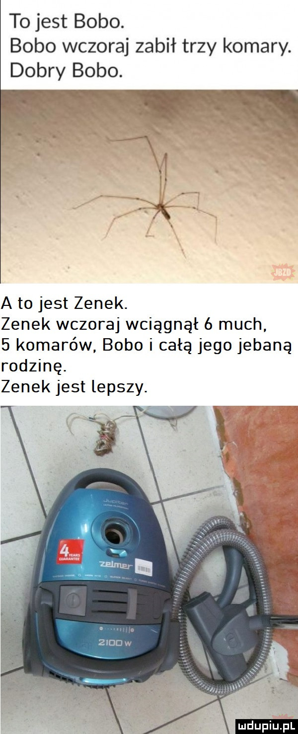 to jest bobo. bobo wczoraj zabił trzy komary. dobry bobo. a to jest zenek. zenek wczoraj wciągnął   much   komarów bobo i całą jego jebaną rodzinę. zenek jest lepszy. ludu iu. l