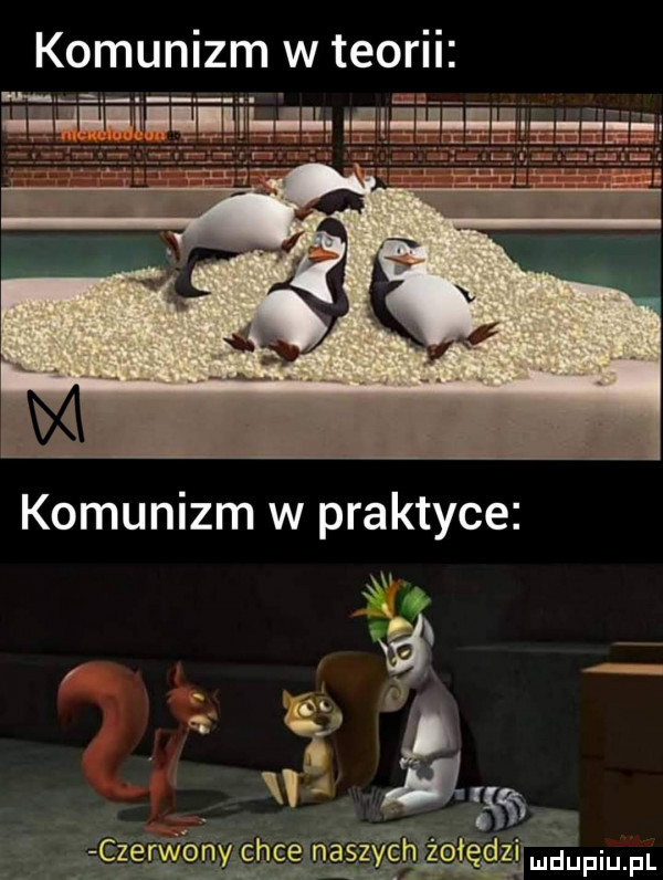 komunizm w praktyce xw ęr f urdupiupl