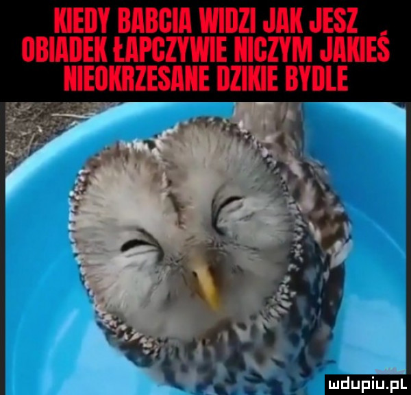 kieiiy iiaiiiiia wiiizi jak jesz iiiiiaiiek ilii gzwiie kigzym jakieś kieiikiizesake iilikie byiiie