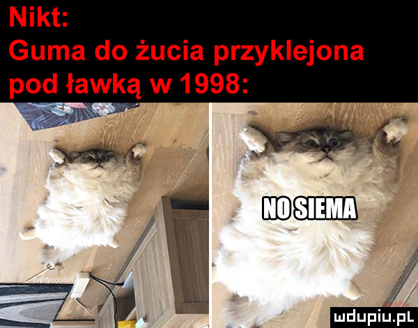 nikt guma do żucia przyklejona pod ławką w