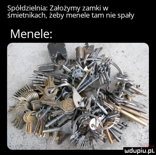 spółdzielnia założymy zamki w śmietnikach żeby menele tam nie spady menele