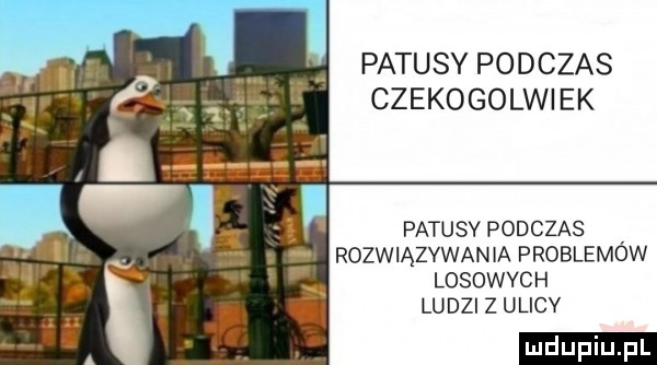 patusy podczas czekogolwi ek patusy podczas rozwiązywania problemów losowych ludzi z ulicv ludu iu. l f f