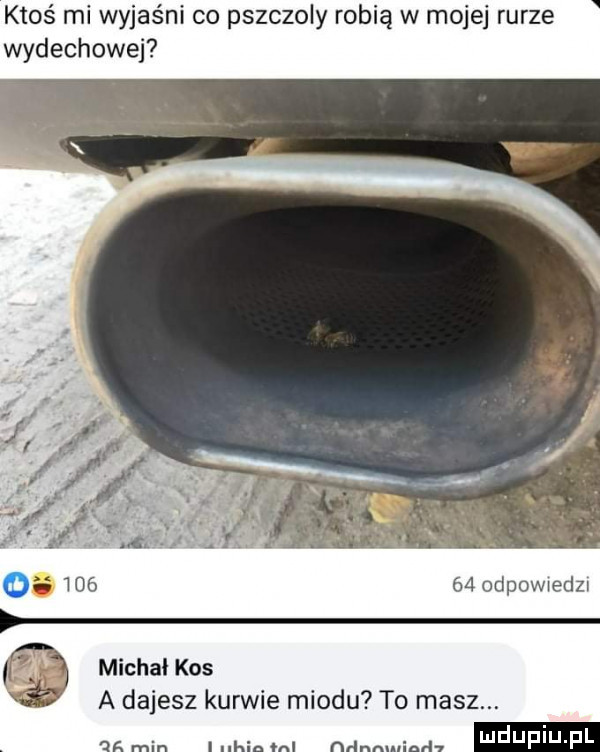 ktoś mi wyjaśni co pszczoly robią w mojej rurze wydechowej    odpowwedzs michal kos a dajesz kurwie miodu to masz