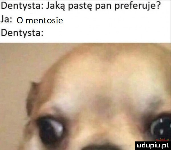 dentysta jaką pastę pan preferuje ja o mentosie dentysta