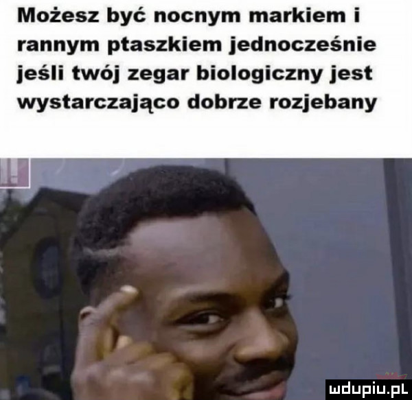 możesz być nocnym markiem i rannym ptaszkiem jednocześnie jeśli twój zegar biologiczny jest wystarczająco dobrze rozjebany