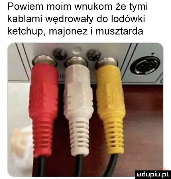 powiem moim wnukom że tymi kablami wędrowały do lodówki ketchup majonez i musztarda mdupietpl