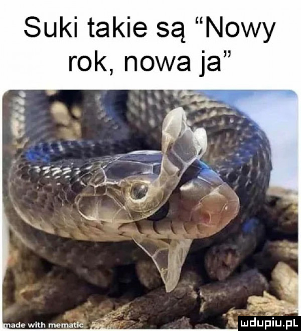 suki takie są nowy rok nowa ja. ad with mematlc u