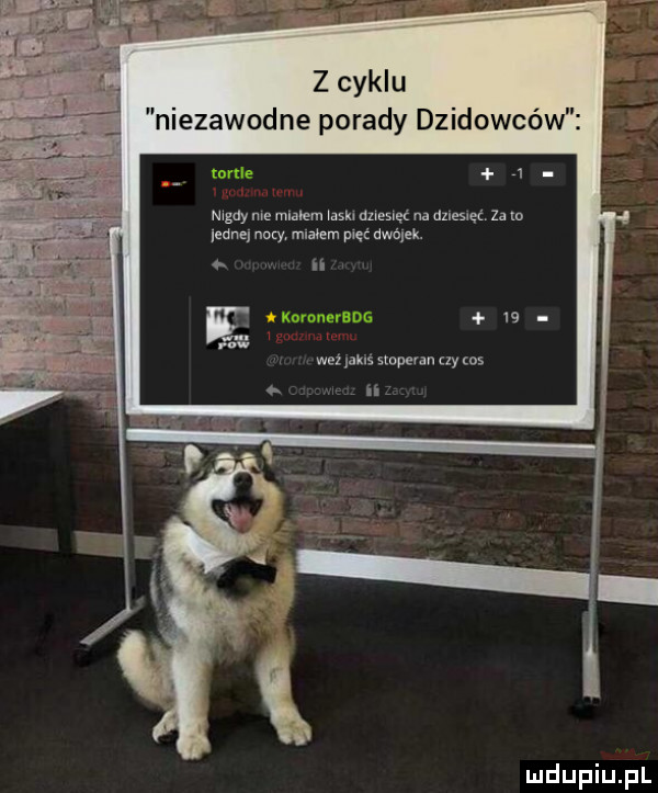 z cyklu niezawodne porady dzidowców ngay me miałem wash naw na dzlesxęć za m eona nory rumem pięt dwójek. ii ę    wez ak s szopen czy cos