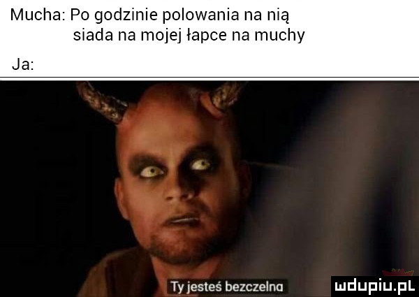 mucha po godzmie polowania na mą siada na mojej łapce na muchy ja ty jesteś bezczelna